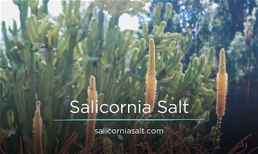 SalicorniaSalt.com